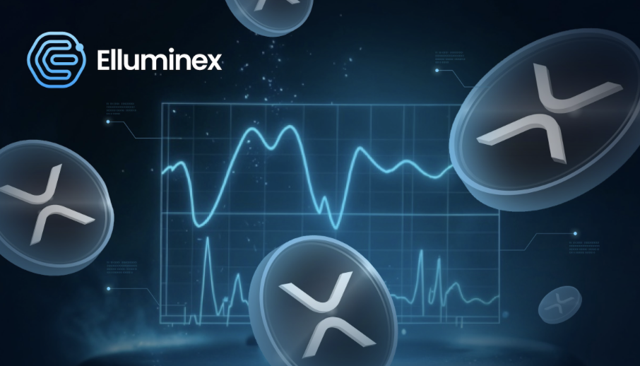 While Everyone Was Focused On Ripple (XRP), The Smart Money Accumulated These Other Tokens
